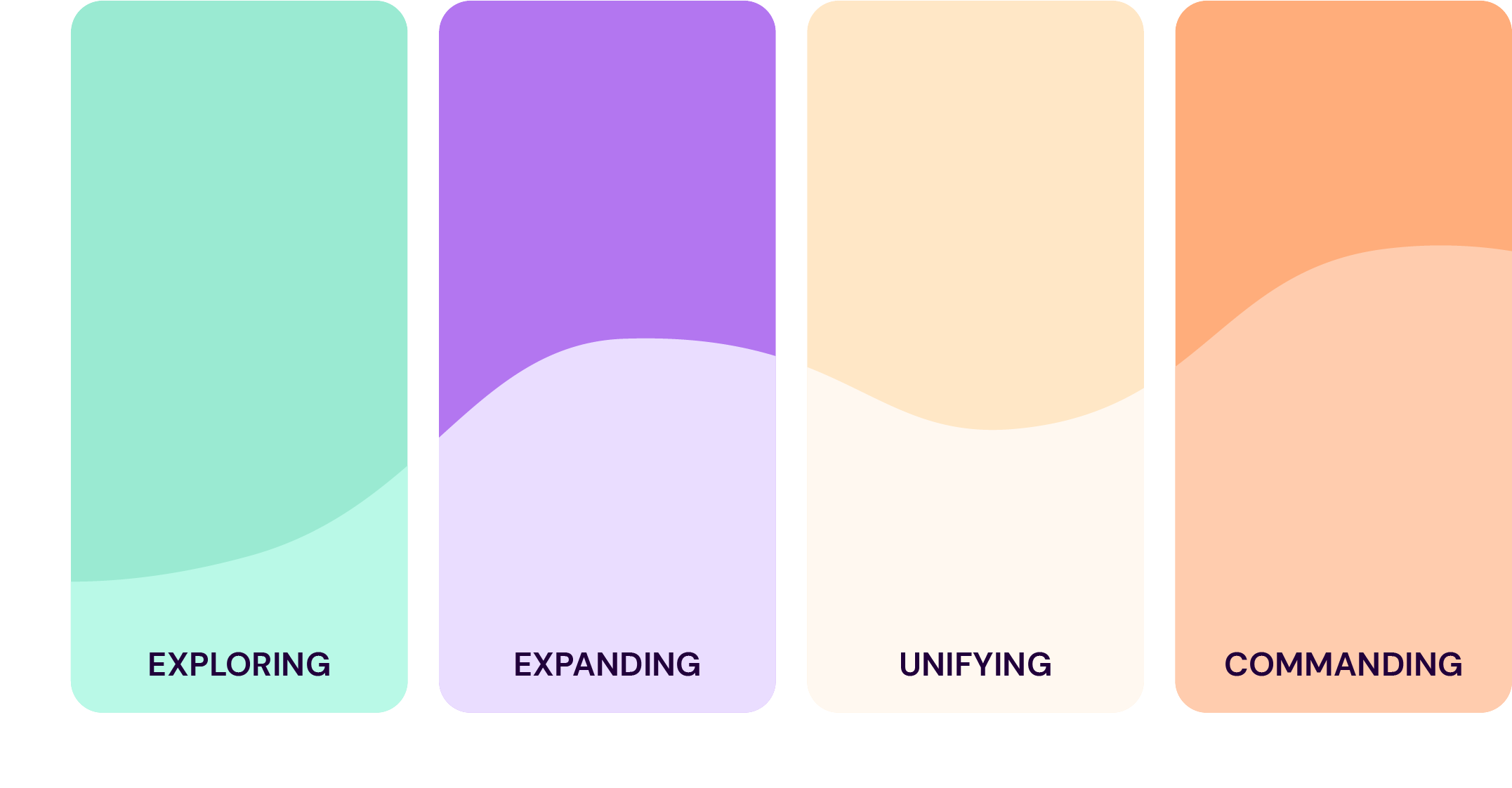 Maturity Model Chart